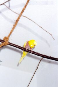 Biene 2002-11-02