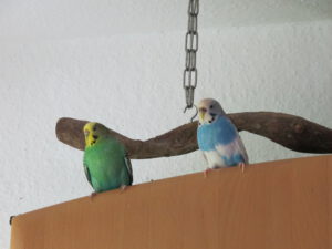 Lotti_+_Motte_4987