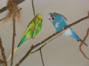 Ronny und Rufus 2