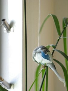 Ronny_in_Palme_1547