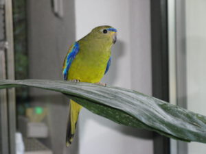 Theo_in_Palme_5864
