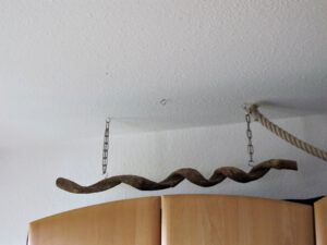 IMG_8421_1024