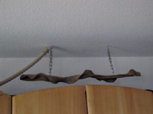 IMG_8426_1024