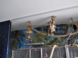 IMG_8427_1024