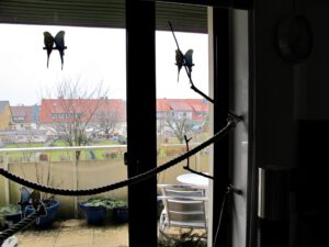 IMG_8430_1024