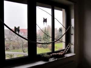 IMG_8438_1024