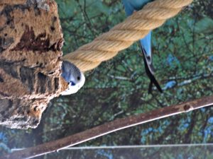 IMG_0455_1024