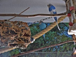 IMG_0456_1024
