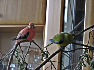 IMG_0460_1024