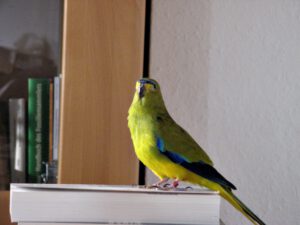 IMG_0470_1024