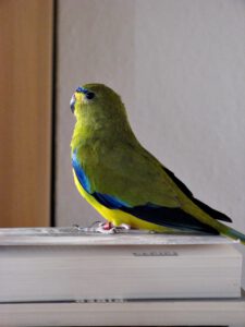IMG_0482_1024