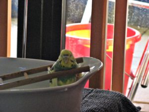 IMG_0514_1024