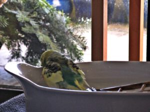 IMG_0515_1024