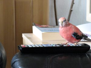 IMG_0518_1024