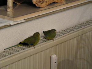IMG_4227_1024