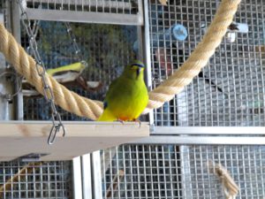 IMG_4809_1024