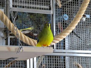 IMG_4810_1024