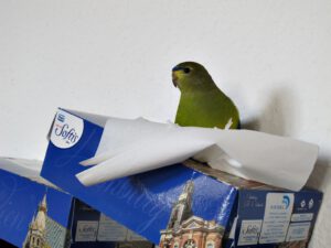 IMG_4811_1024