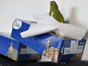 IMG_4812_1024