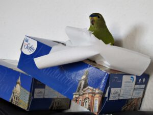 IMG_4813_1024