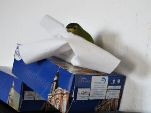 IMG_4815_1024