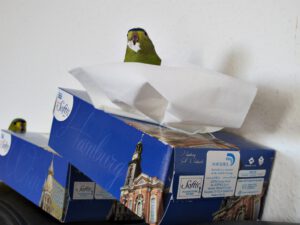 IMG_4818_1024