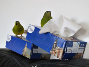 IMG_4823_1024