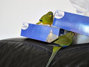 IMG_4828_1024