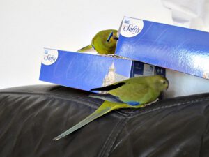 IMG_4830_1024