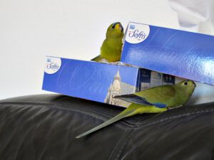 IMG_4832_1024