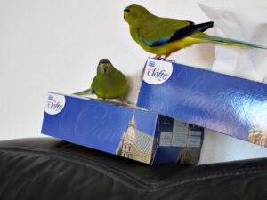 IMG_4833_1024