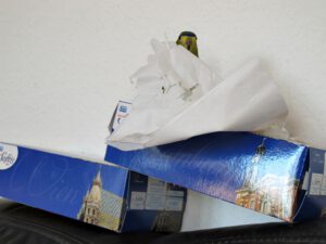 IMG_4835_1024