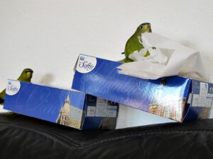 IMG_4843_1024