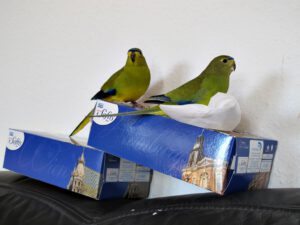 IMG_4844_1024