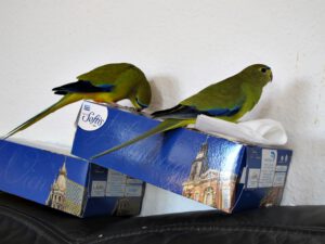 IMG_4850_1024