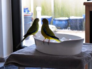 IMG_6656_1024