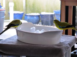 IMG_6657_1024