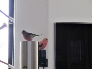 IMG_6663_1024