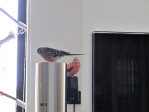 IMG_6664_1024