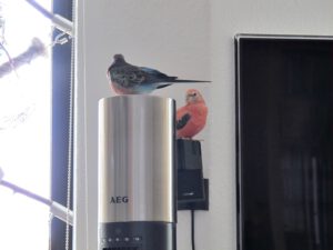 IMG_6665_1024