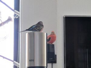 IMG_6668_1024