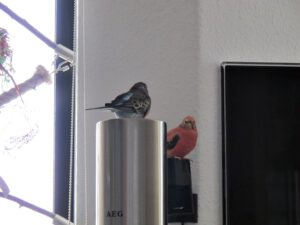 IMG_6669_1024