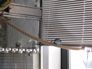 IMG_8503_1024