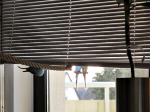 IMG_8504_1024