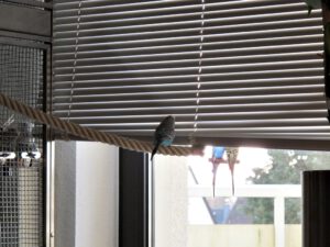 IMG_8505_1024