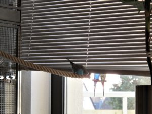 IMG_8506_1024