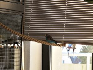IMG_8508_1024