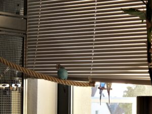 IMG_8510_1024