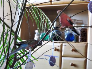 IMG_8787_1024