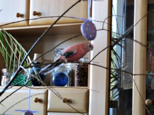 IMG_8788_1024